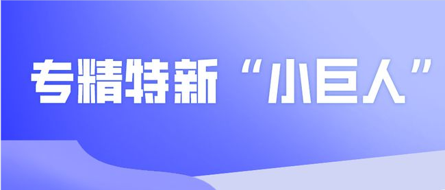 專精特新“小巨人”企業(yè)發(fā)展加速