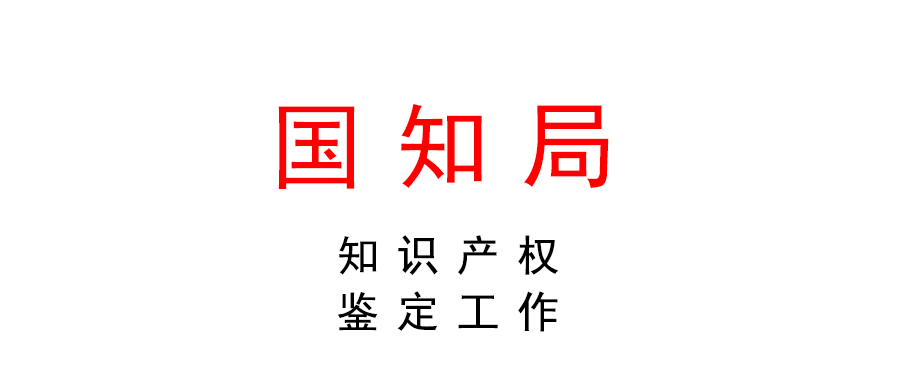 國家知識產(chǎn)權(quán)局關(guān)于加強(qiáng)知識產(chǎn)權(quán)鑒定工作的指導(dǎo)意見