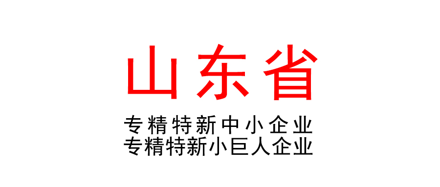 山東省關于開展2023年度專精特新中小企業培育認定和專精特新“小巨人”企業申報（復核）推薦工作的通知